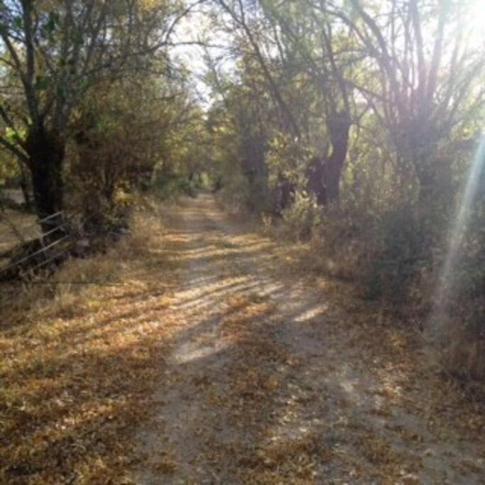 Casa Rural La Fresneda De Tenzuela شقوبية المظهر الخارجي الصورة
